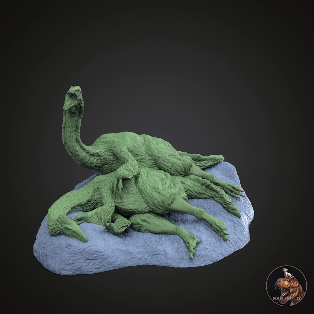 Duonychus tsogtbaatari