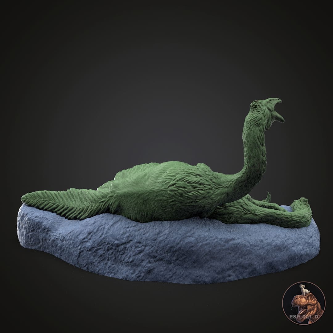 Duonychus tsogtbaatari