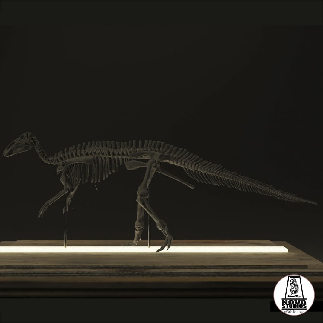 Edmontosaurus-Skelett