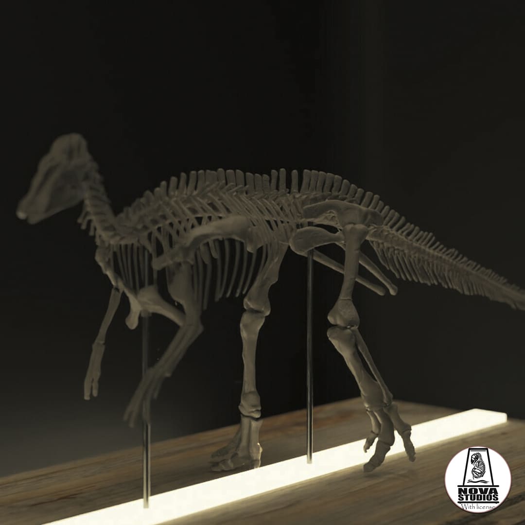 Edmontosaurus-Skelett