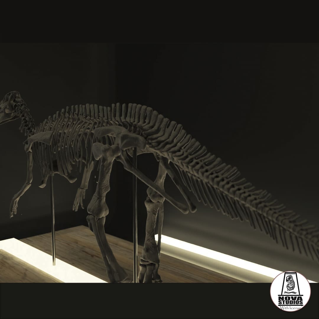 Edmontosaurus-Skelett