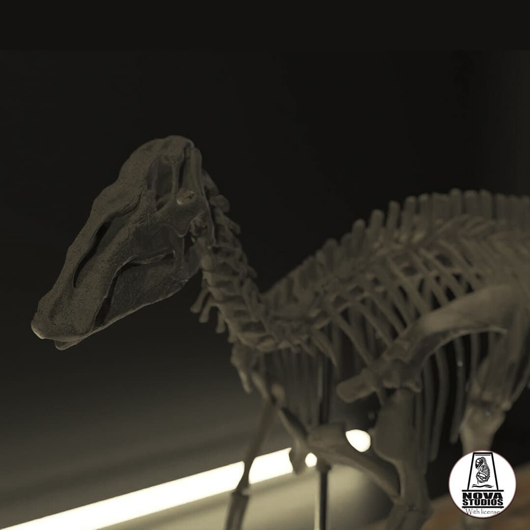 Edmontosaurus-Skelett