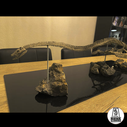 Elasmosaurus platyurus