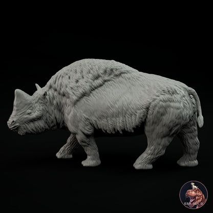 Elasmotherium sibiricum