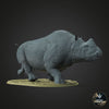 Elasmotherium sibiricum