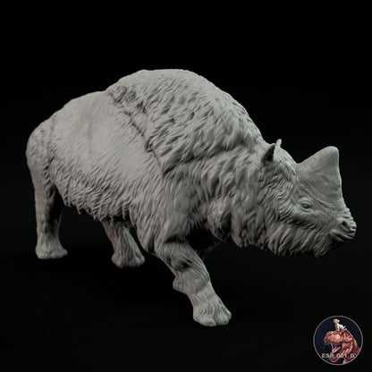 Elasmotherium sibiricum