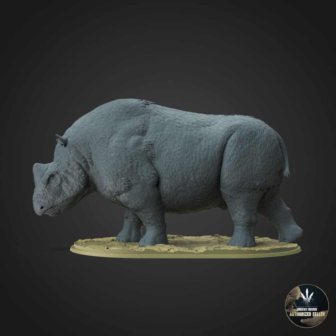 Elasmotherium sibiricum