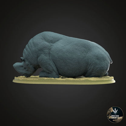Embolotherium andrewsi