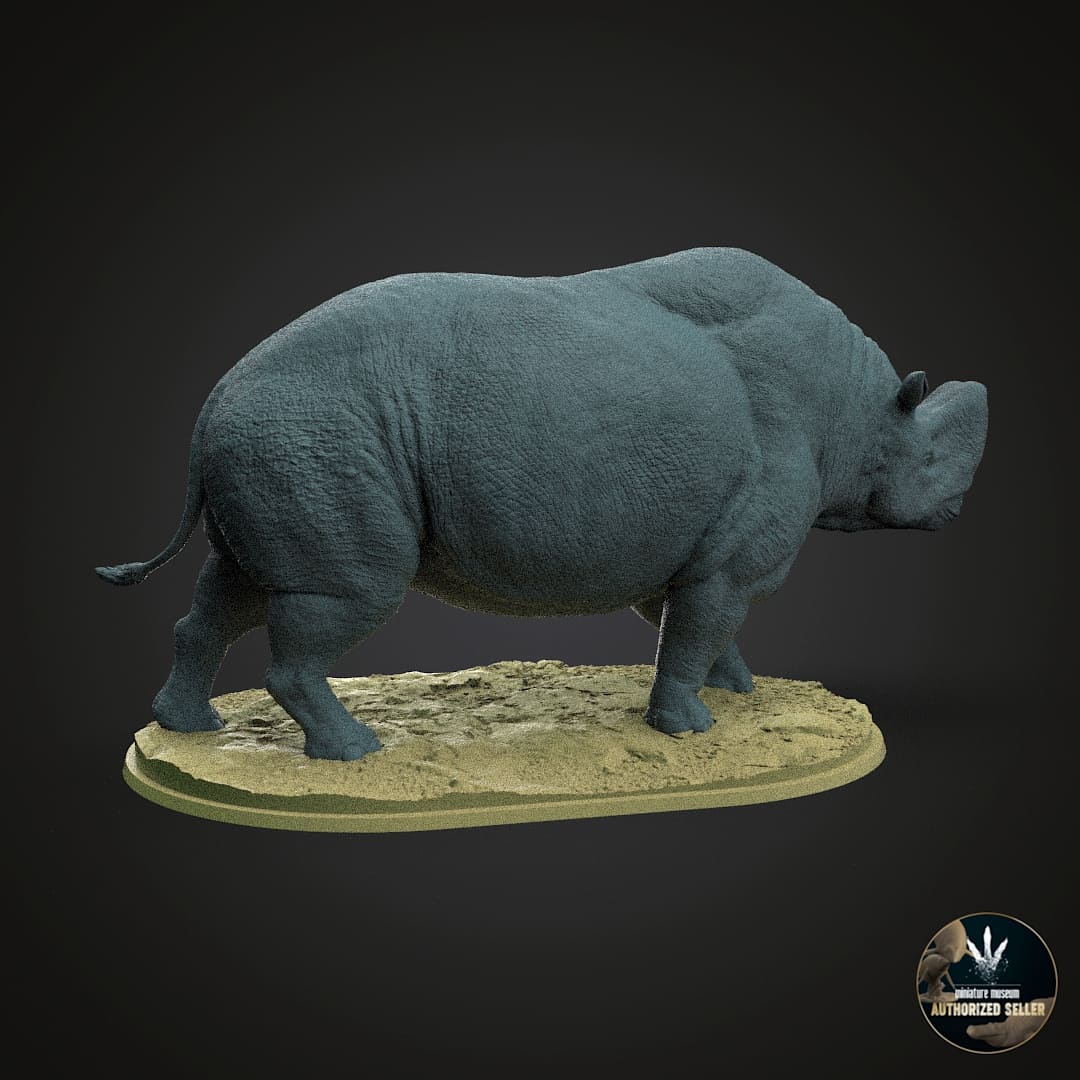 Embolotherium andrewsi