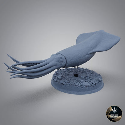 Enchoteuthis melanae