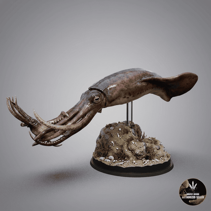 Enchoteuthis melanae