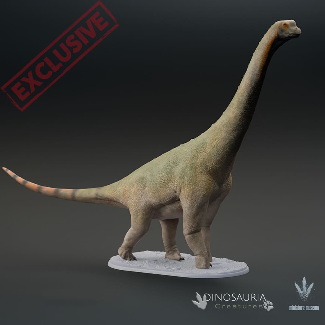 Europasaurus Size Europasaurus holgeri – Dinosauria Creatures