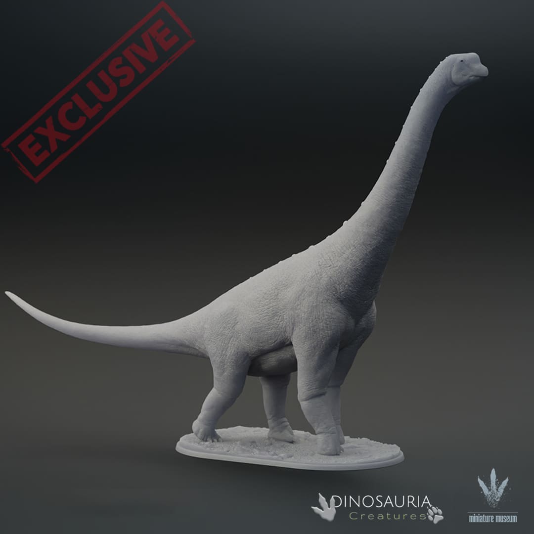 Europasaurus Size Europasaurus holgeri – Dinosauria Creatures