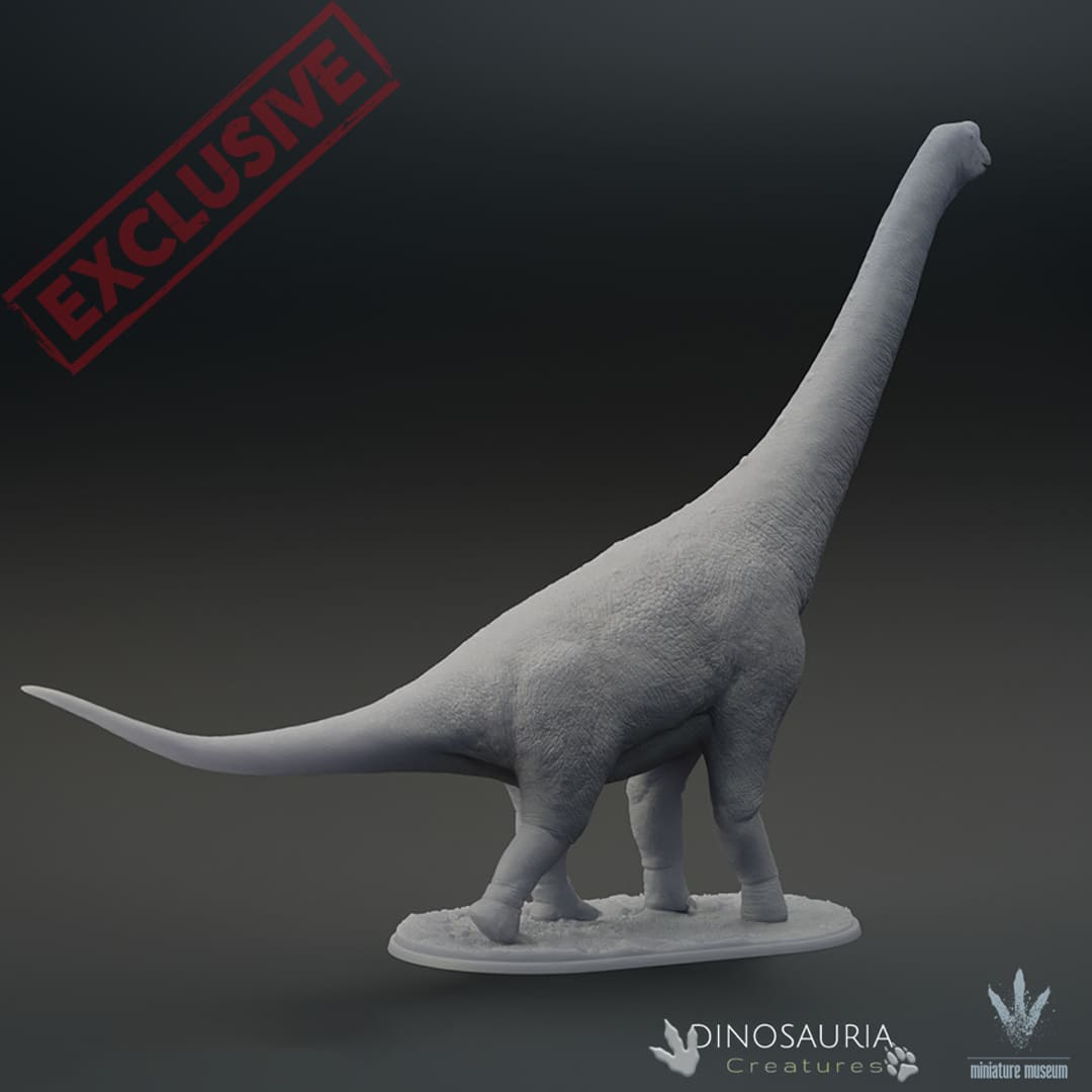 Europasaurus Size Europasaurus holgeri – Dinosauria Creatures
