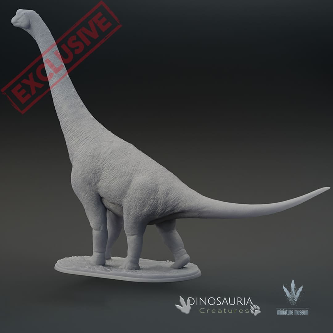 Europasaurus Size Europasaurus holgeri – Dinosauria Creatures