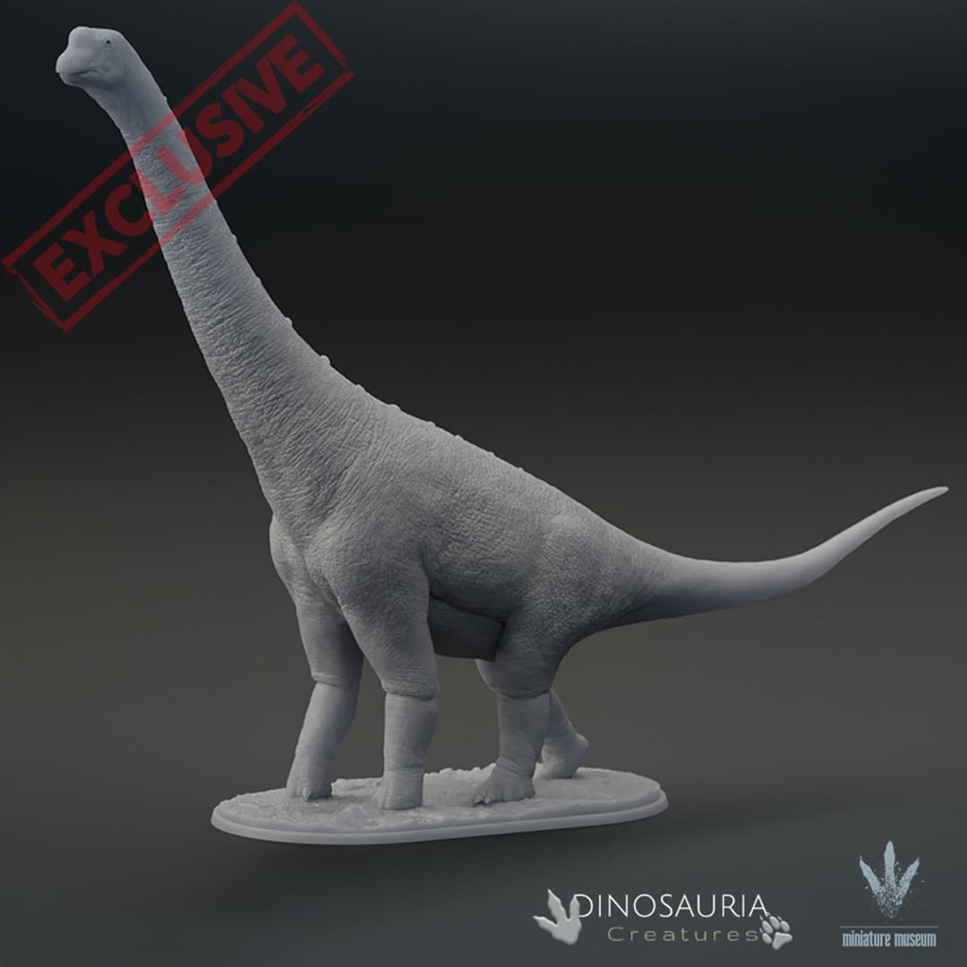 Europasaurus Size Europasaurus holgeri – Dinosauria Creatures