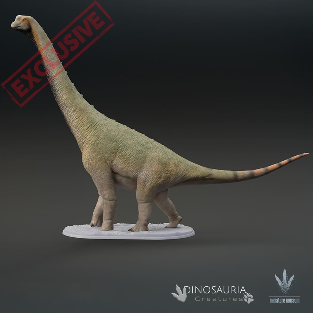 Europasaurus Size Europasaurus holgeri – Dinosauria Creatures