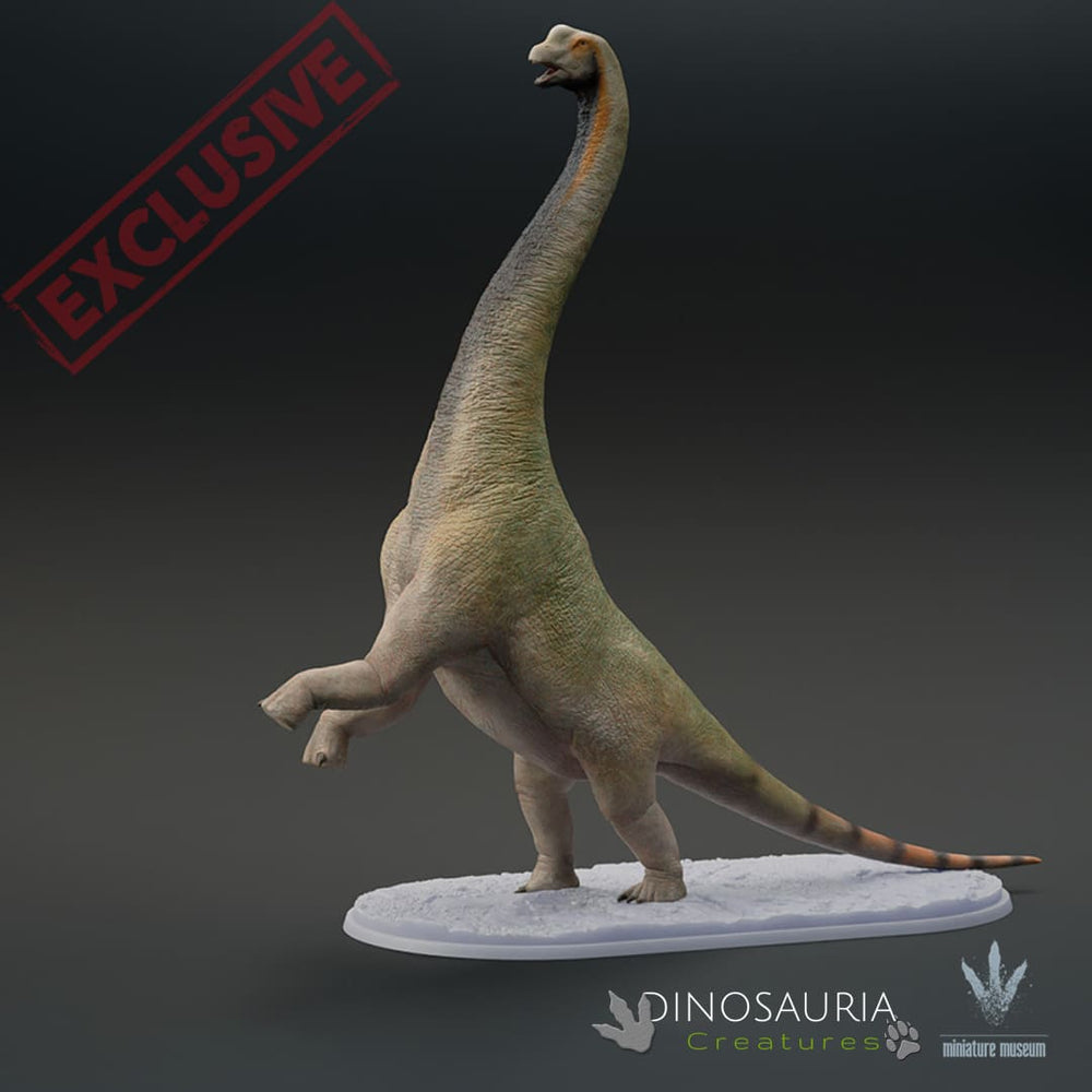 Europasaurus holgeri – Dinosauria Creatures
