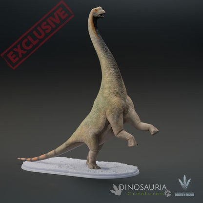 Europasaurus holgeri