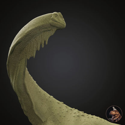 Futalognkosaurus dukei