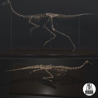 Skelett von Gallimimus bullatus