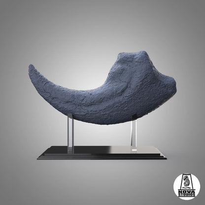 Suchomimus tenerensis (Claw)