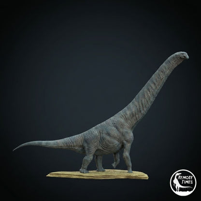 Garumbatitan morellensis