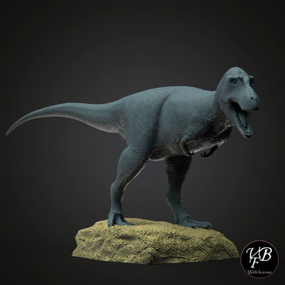 Gorgosaurus libratus