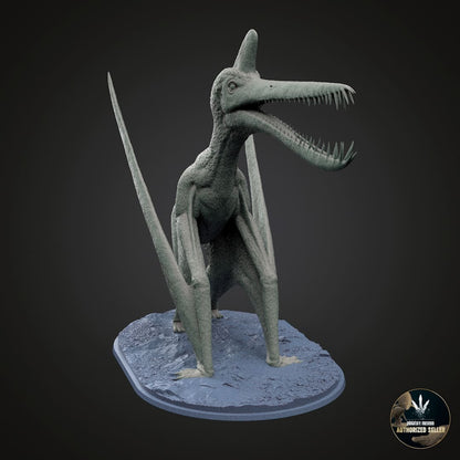 Guidraco venator