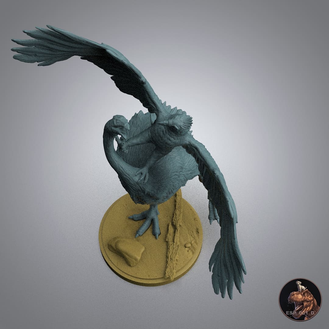 Hieraaetus moorei / Moa