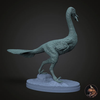 Halszkaraptor escuilliei