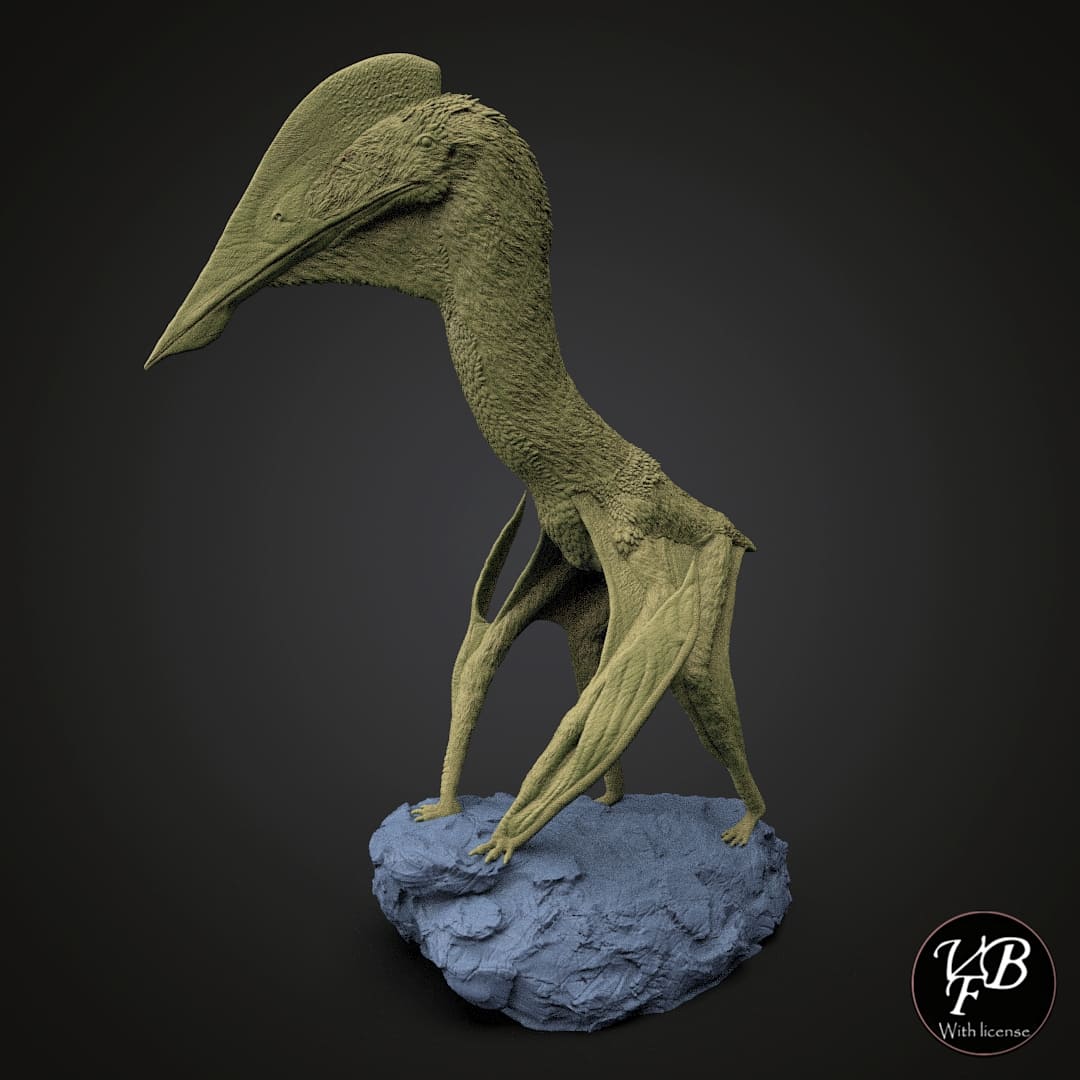 Hatzegopteryx thambema