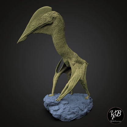 Hatzegopteryx thambema