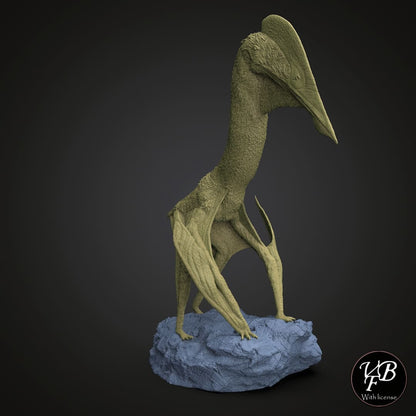 Hatzegopteryx thambema