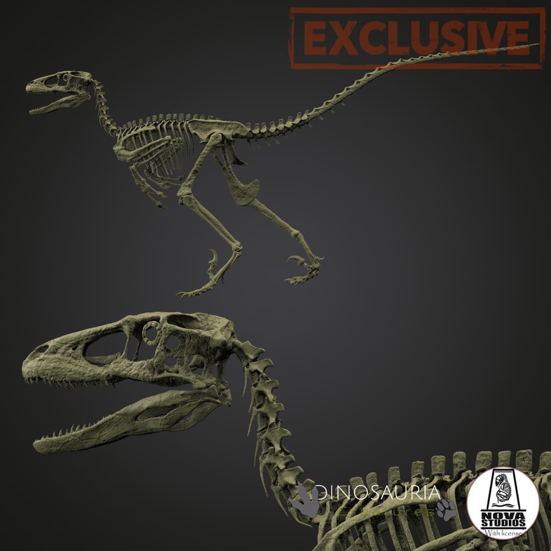 Deinonychus antirrhopus 'Hector'