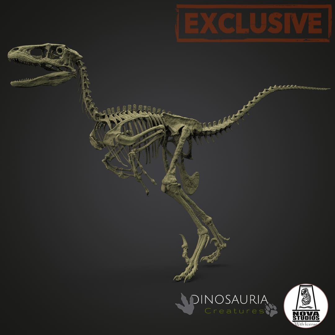 Deinonychus antirrhopus 'Hector'