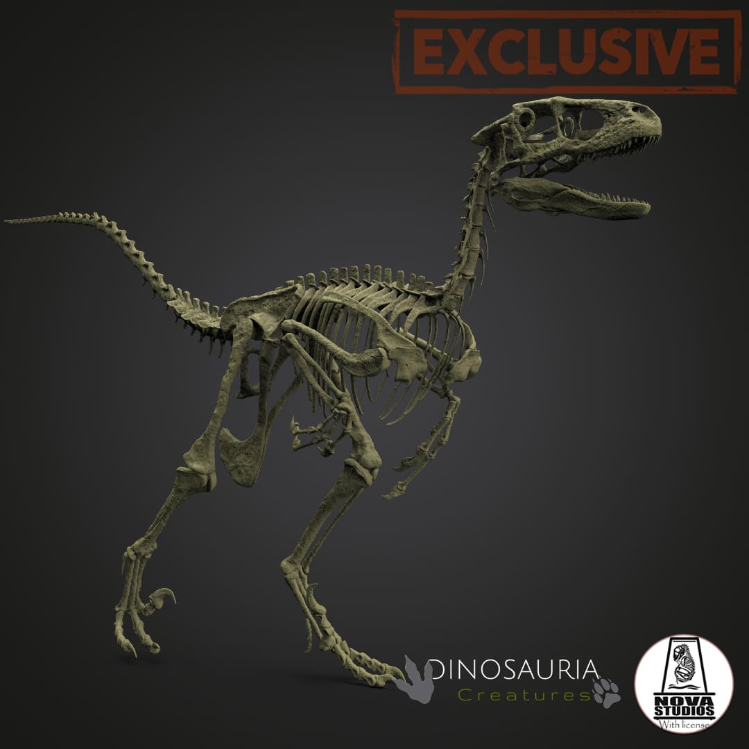 Deinonychus antirrhopus 'Hector'