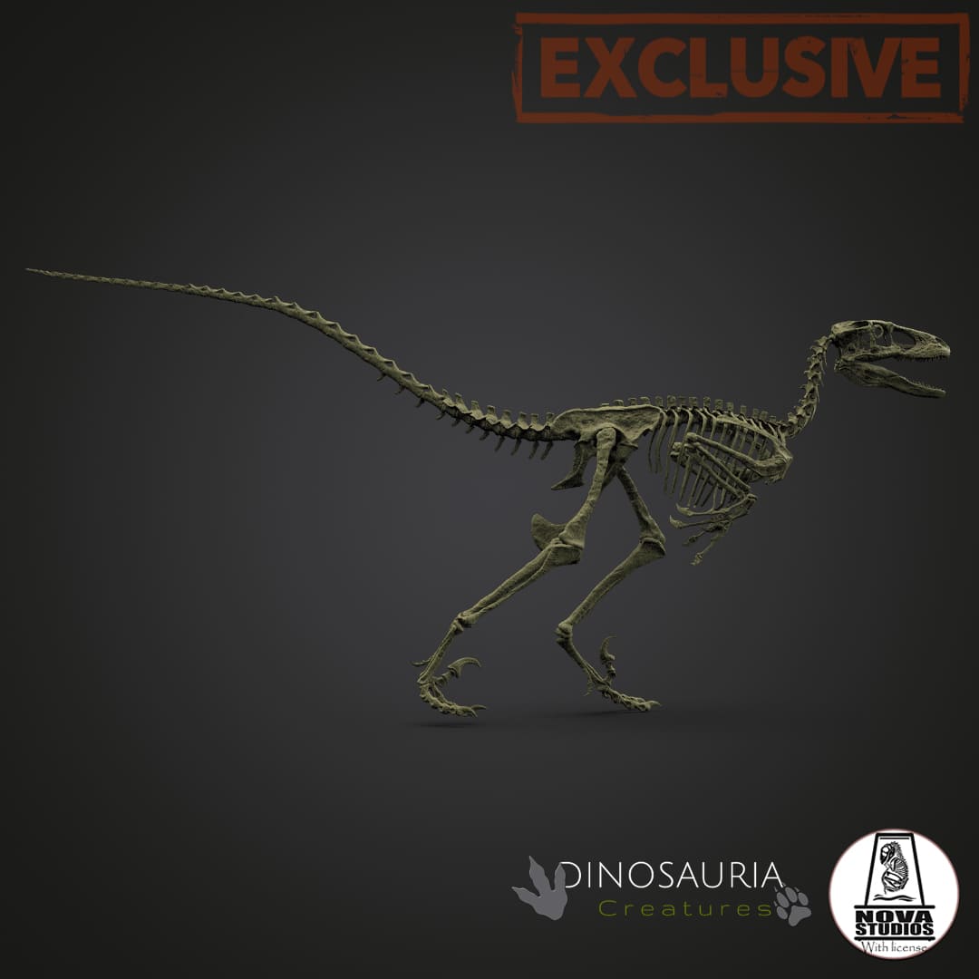 Deinonychus antirrhopus 'Hector'