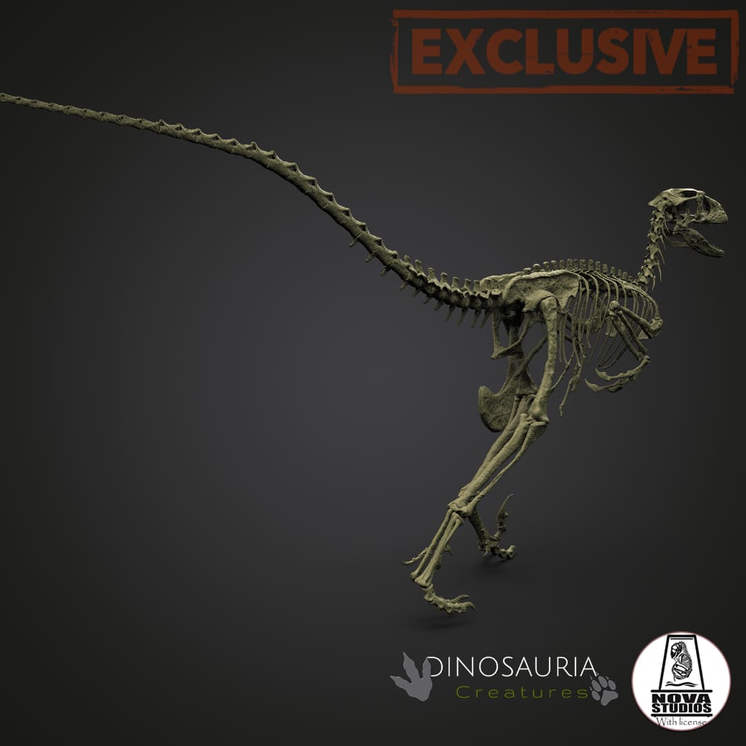 Deinonychus antirrhopus `Hector´