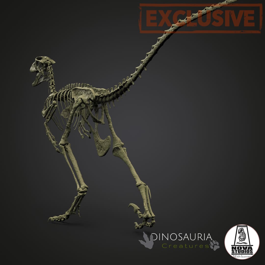 Deinonychus antirrhopus `Hector´