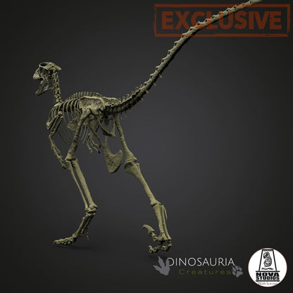 Deinonychus antirrhopus `Hector´