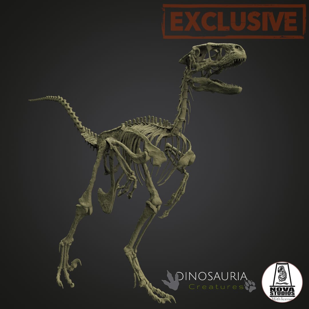 Deinonychus antirrhopus `Hector´