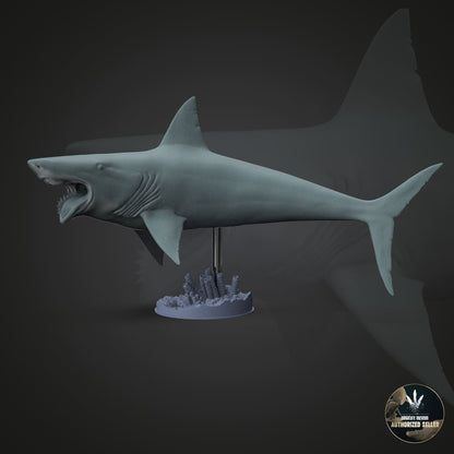 Helicoprion