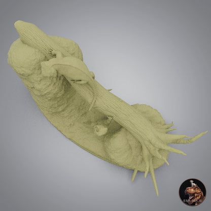 Hyperodapedon sanjuanensis
