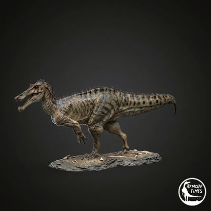 Iberospinus natarioi
