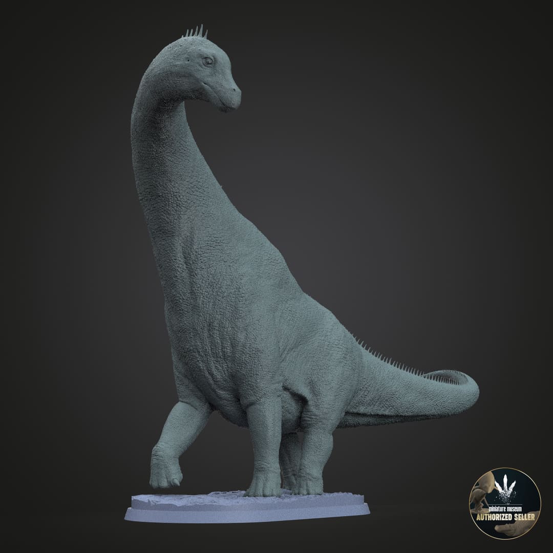 Isaurus colberti