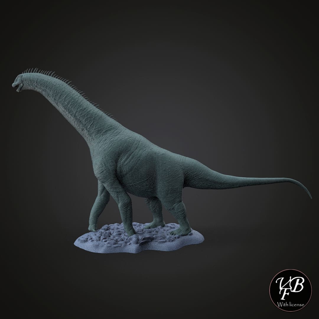 Isaurus colberti