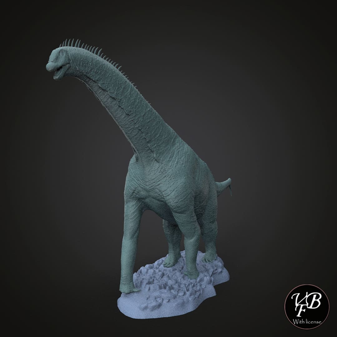 Isaurus colberti