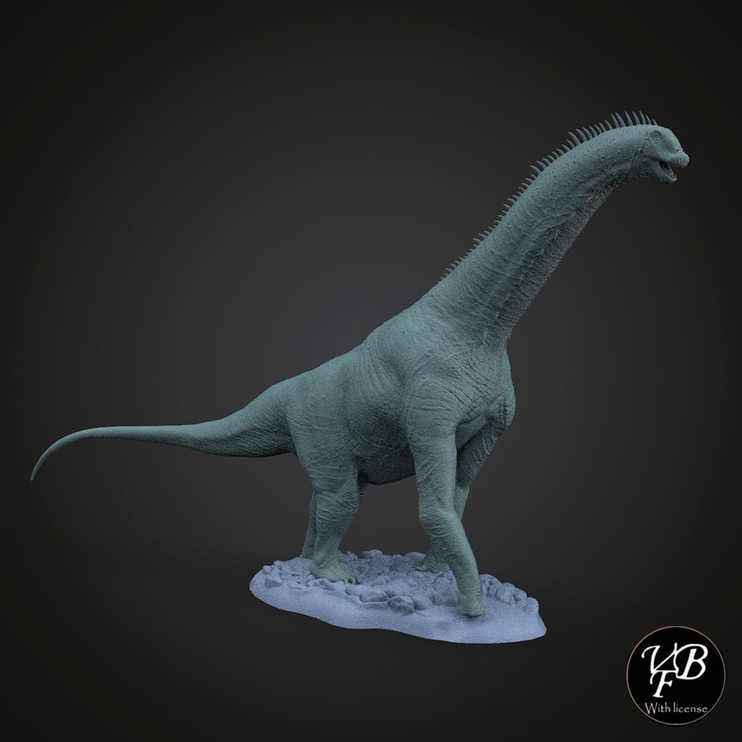 Isaurus colberti
