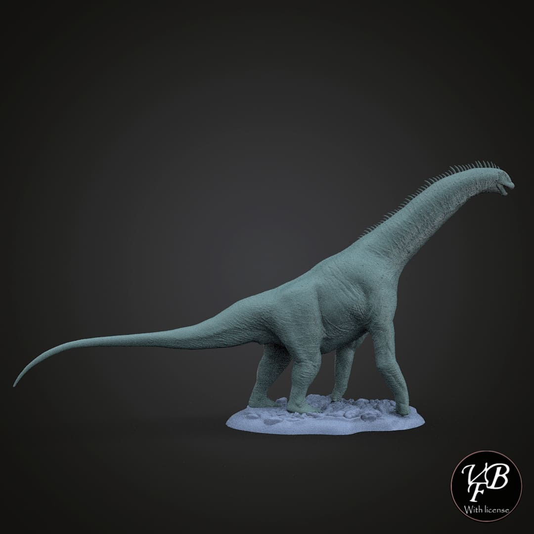 Isaurus colberti